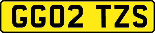 GG02TZS