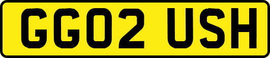GG02USH