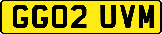 GG02UVM