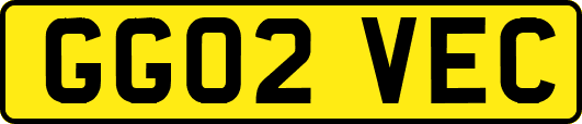GG02VEC