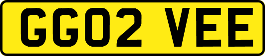 GG02VEE