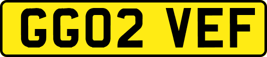 GG02VEF