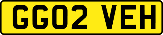 GG02VEH
