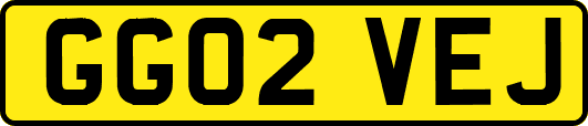 GG02VEJ