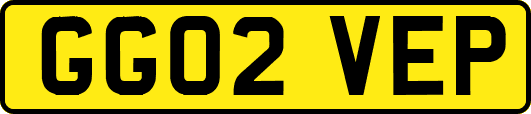 GG02VEP