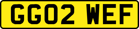 GG02WEF