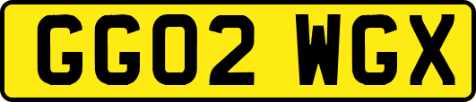 GG02WGX