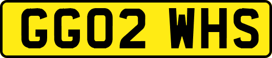 GG02WHS