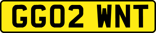 GG02WNT
