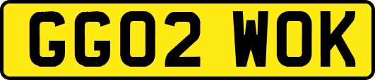 GG02WOK
