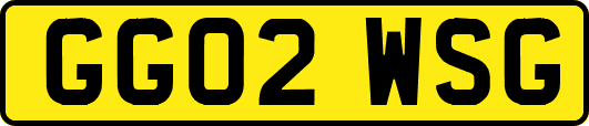 GG02WSG