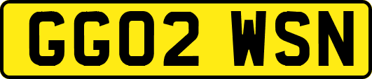 GG02WSN