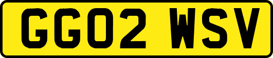 GG02WSV