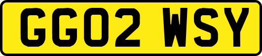 GG02WSY