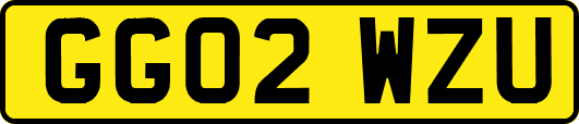 GG02WZU