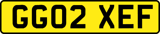 GG02XEF