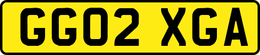 GG02XGA
