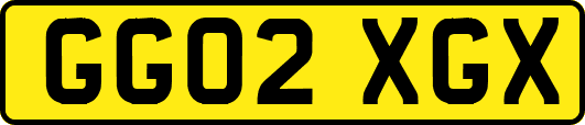 GG02XGX