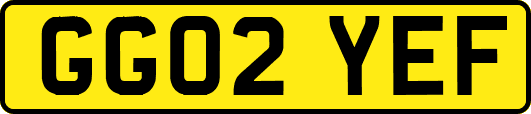 GG02YEF