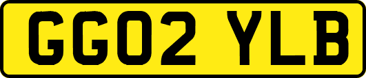 GG02YLB