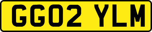 GG02YLM