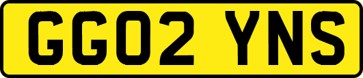 GG02YNS