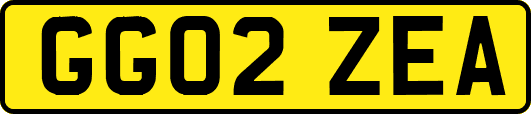 GG02ZEA
