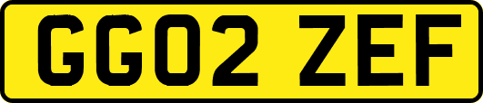 GG02ZEF
