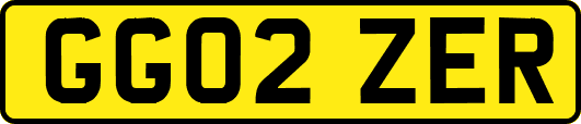 GG02ZER