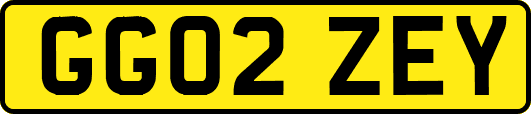 GG02ZEY