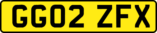 GG02ZFX
