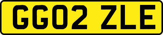 GG02ZLE