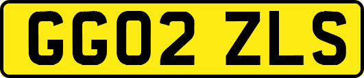 GG02ZLS