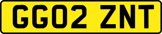 GG02ZNT
