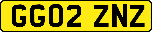 GG02ZNZ
