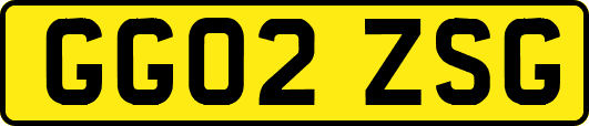 GG02ZSG