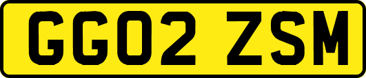GG02ZSM