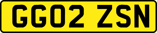 GG02ZSN