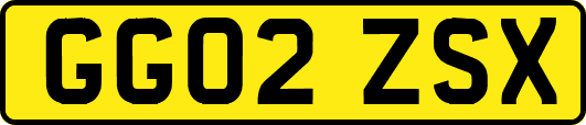 GG02ZSX