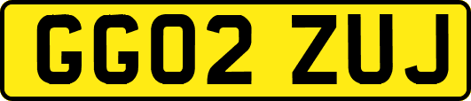 GG02ZUJ