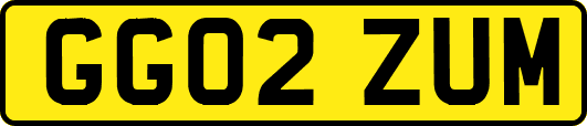 GG02ZUM