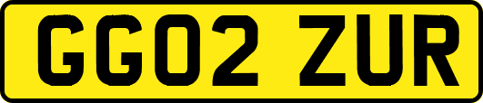GG02ZUR
