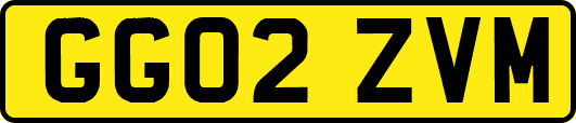 GG02ZVM