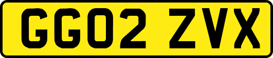 GG02ZVX