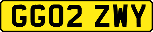 GG02ZWY
