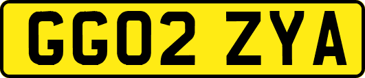 GG02ZYA