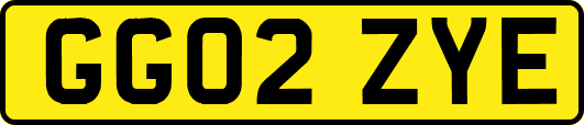 GG02ZYE