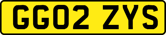 GG02ZYS