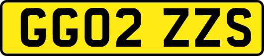GG02ZZS