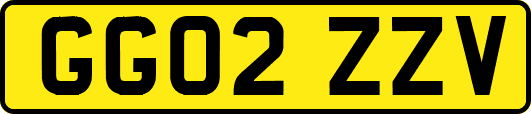 GG02ZZV
